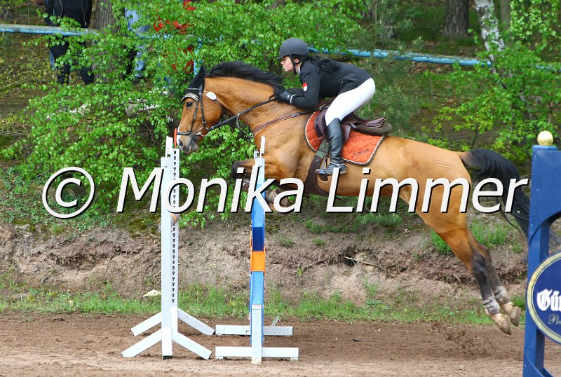 005L5364_Latina_Spring M mit Stechen_Jarczak.jpg